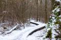 Winterwandeling De Krang-Swartbroek