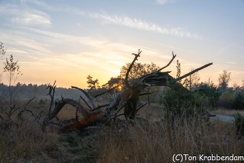 Zonsondergang-2111.jpg