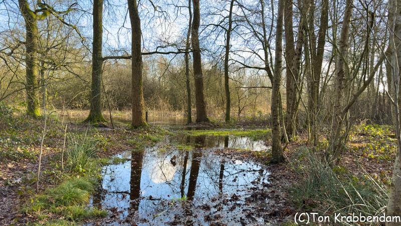 De Dommel-6237.jpg