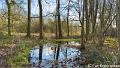 De Dommel-6237