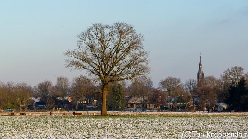 Budel-3677.jpg
