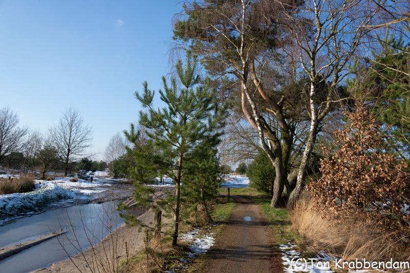 DSC_3571.jpg