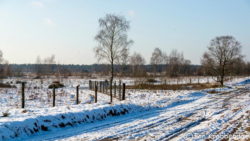 Kranenveld-3558.jpg