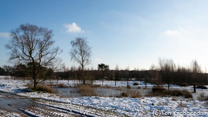 Kranenveld-3563.jpg