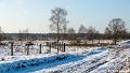 Kranenveld-3558