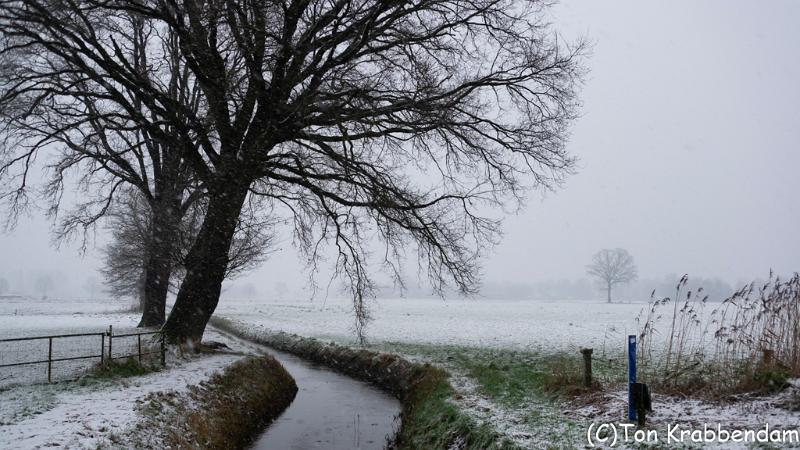 DSC_3366.jpg